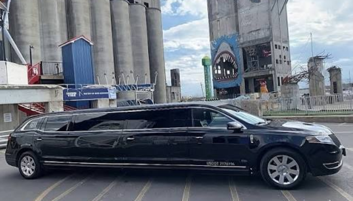 Stretch Limo Limousine: A Complete Guide to Choosing the Right Ride stretch limo limousine